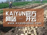 种植基地七(图1)
