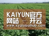 种植基地五