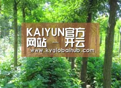 种植基地九