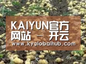 种植基地八(图1)