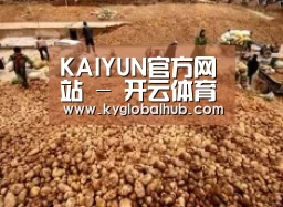 种植基地二