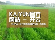 种植基地四
