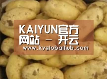 产品展示标题6