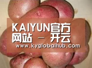 产品展示标题1