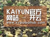种植基地七