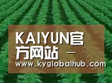 种植基地六