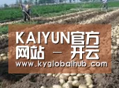 种植基地八