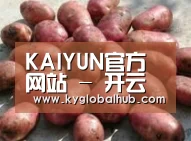 产品展示标题5(图1)