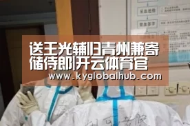 送王光辅归青州兼寄储侍郎|开云体育官方(图3) 开云体育官网
