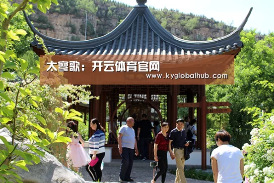 开云体育高清直播