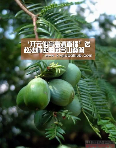 ‘开云体育高清直播’送赵法师还蜀因名山奠简(图2) 开云体育官方