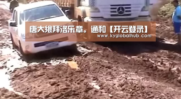 开云登录