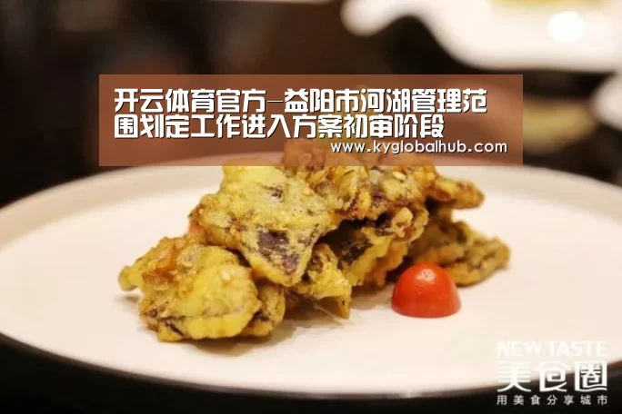 开云体育官方-益阳市河湖管理范围划定工作进入方案初审阶段(图3) 开云体育高清直播