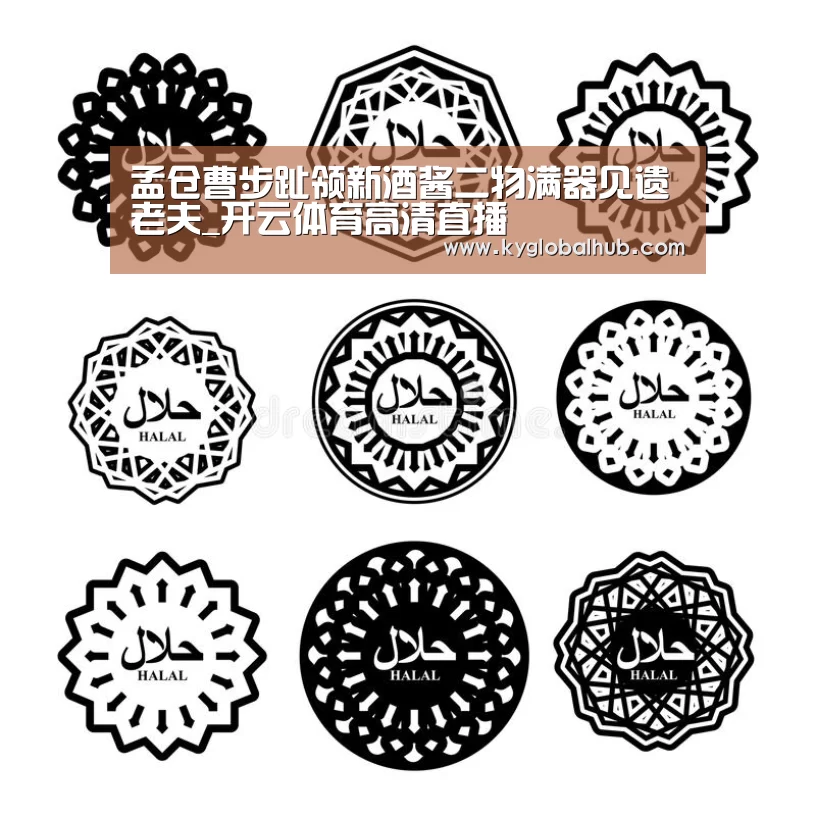 开云登录