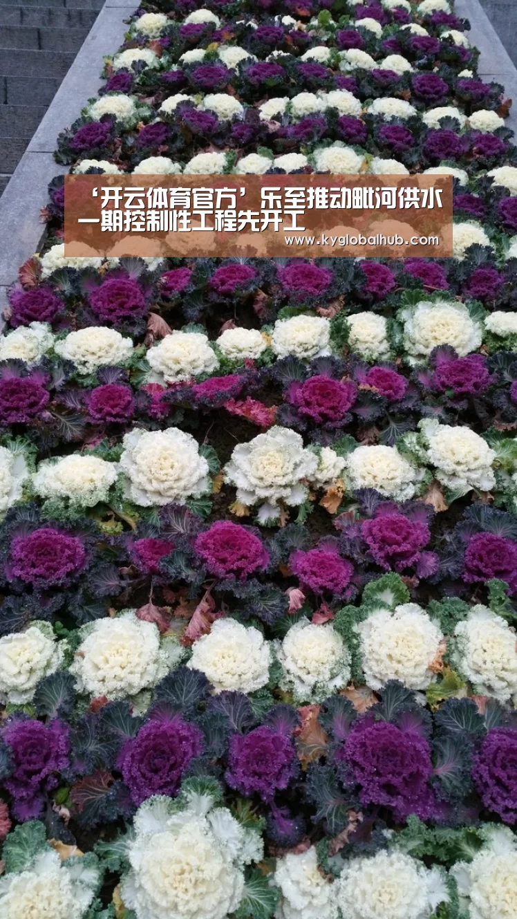 ‘开云体育官方’乐至推动毗河供水一期控制性工程先开工(图2) 开云体育高清直播