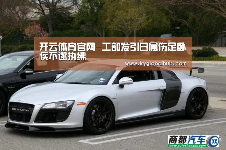 开云体育高清直播