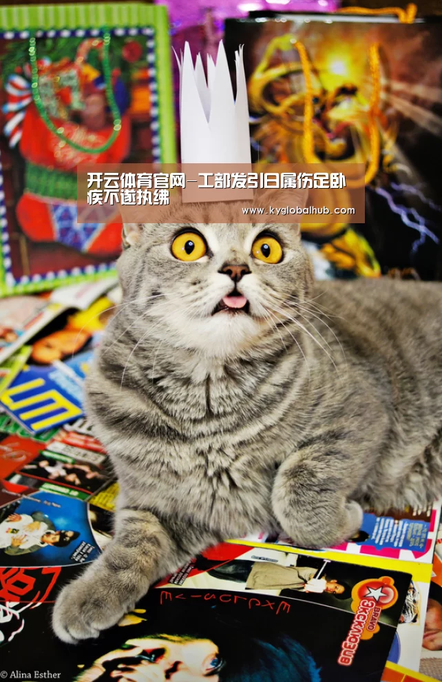 开云体育官网