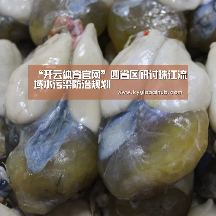 开云体育官网