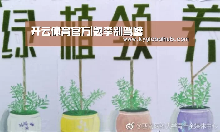 开云登录
