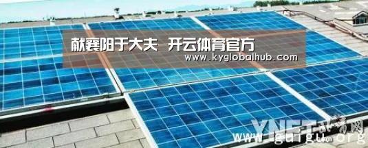 开云登录