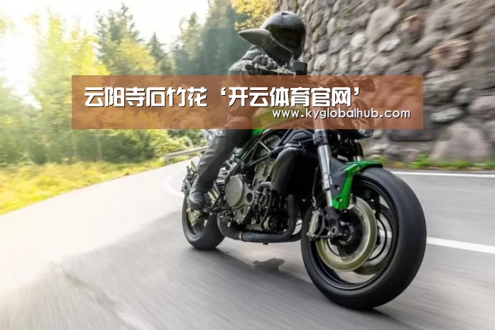 云阳寺石竹花‘开云体育官网’(图4) 开云登录