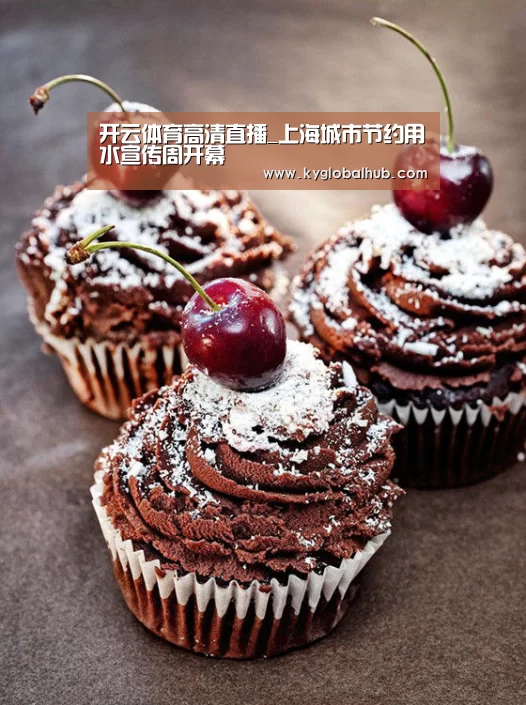 开云体育高清直播
