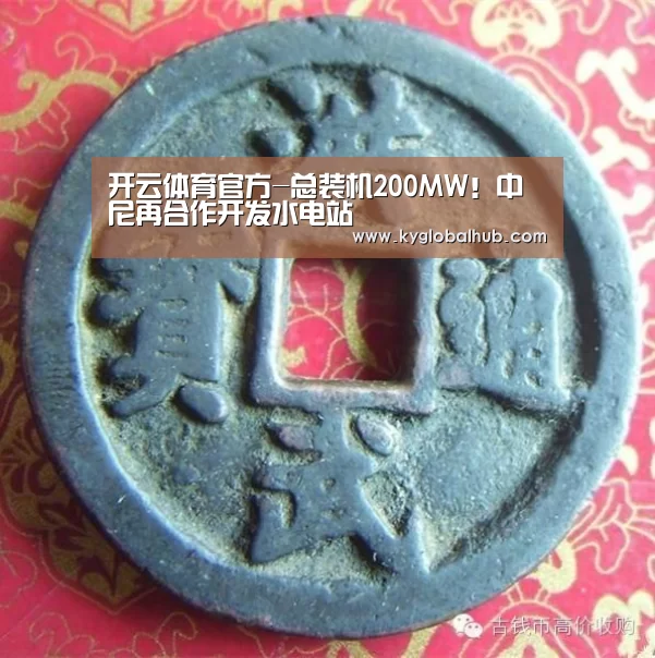 开云体育官方-总装机200MW!中尼再合作开发水电站(图3) 开云登录