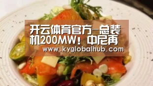 开云体育官方-总装机200MW!中尼再合作开发水电站(图4) 开云体育高清直播