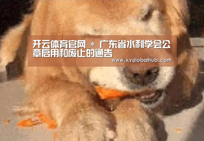 开云体育高清直播