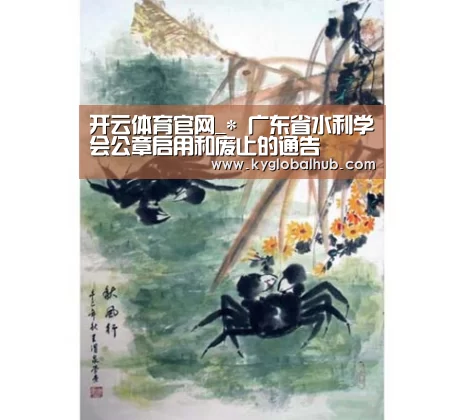 开云体育官方