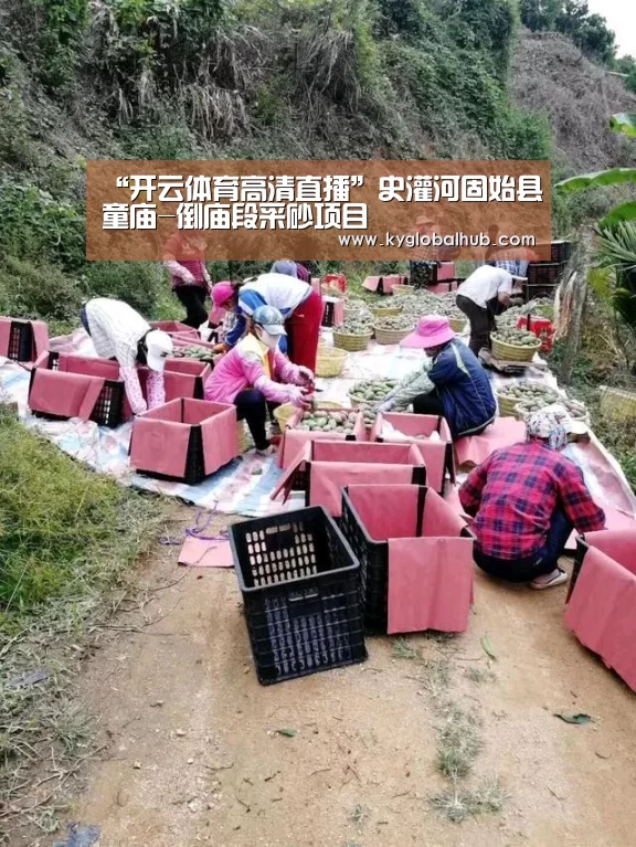 开云体育官方