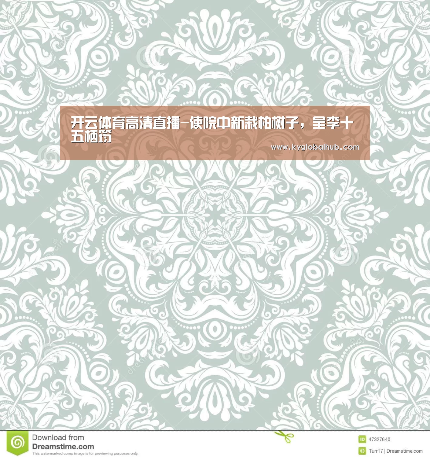 开云登录
