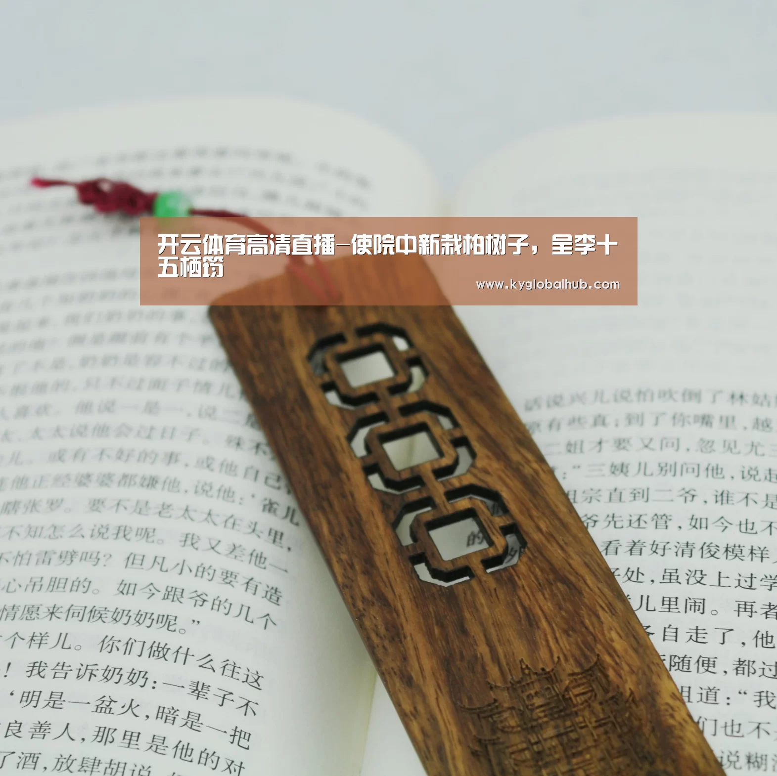 开云体育高清直播