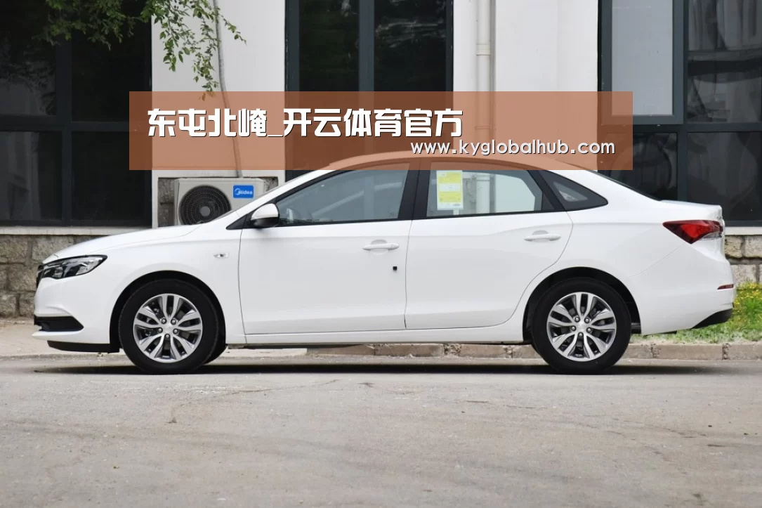开云体育官网